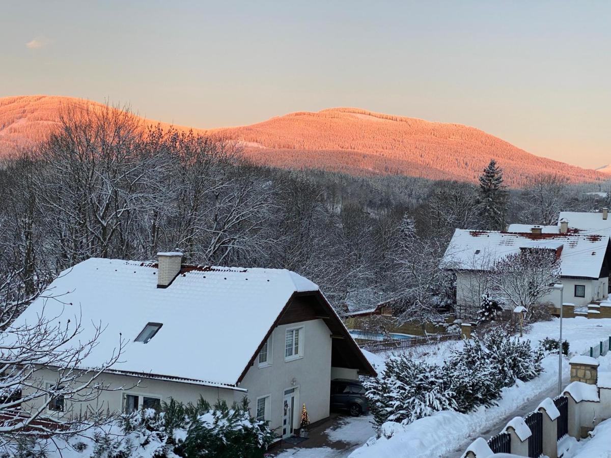 Apartman Pod Lesem Svoboda nad Úpou Exterior foto